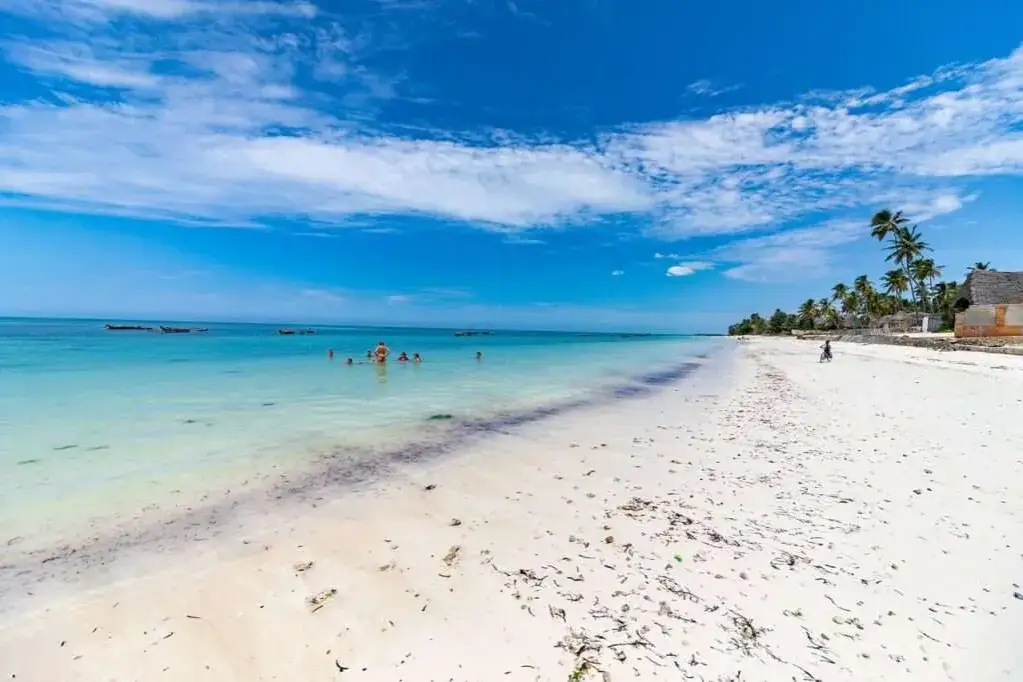 Kiedy najlepiej jechać na Zanzibar? Oto prawda o pogodzie w lutym