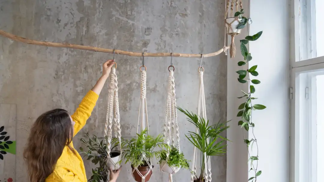 Kwietnik Makrama Kokon: Twój Przewodnik DIY Krok po Kroku