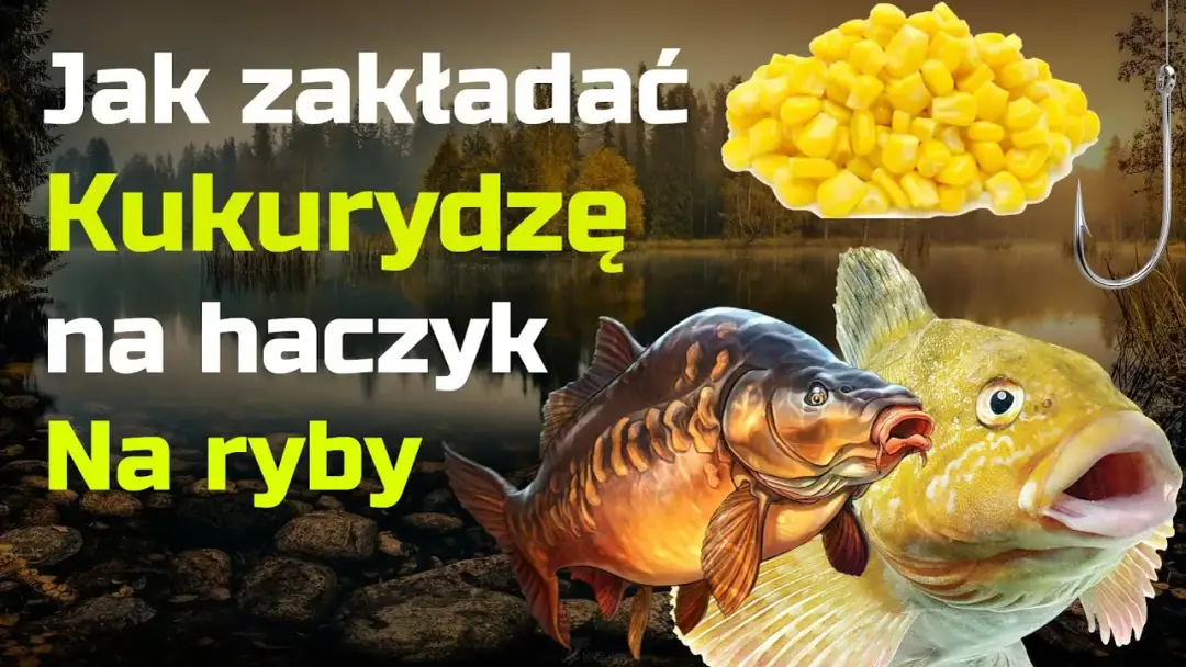 Zakładanie kukurydzy na haczyk: Łów więcej, poznaj triki eksperta