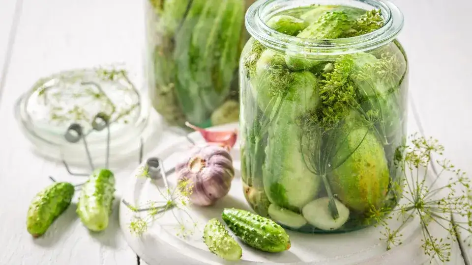 Kiszenie ogórków: Chemia czy fizyka? Odkryj naukową prawdę!