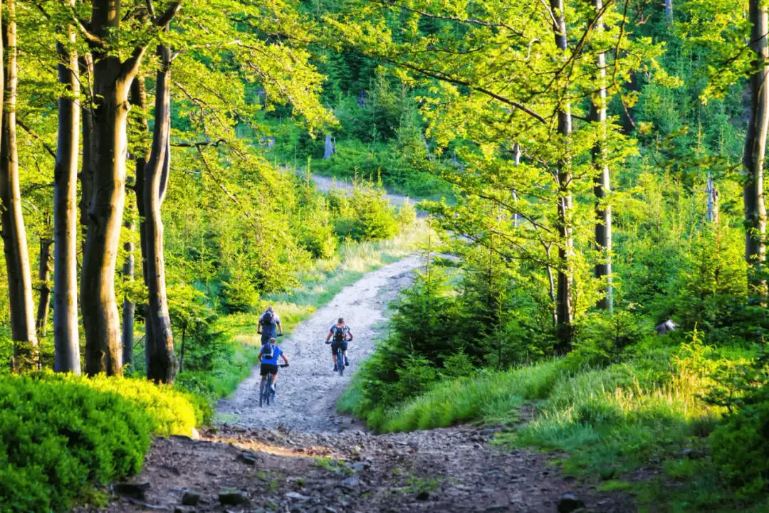 Trasy rowerowe Ustroń: Odkryj najlepsze szlaki dla każdego kolarza