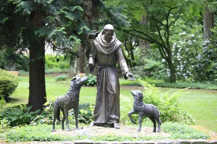 Dlaczego święty Franciszek został patronem ekologów - poznaj prawdziwą historię