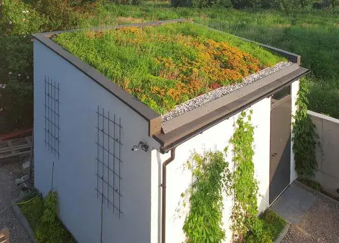 Jak zrobić zielony dach na altanie: krok po kroku bez błędów