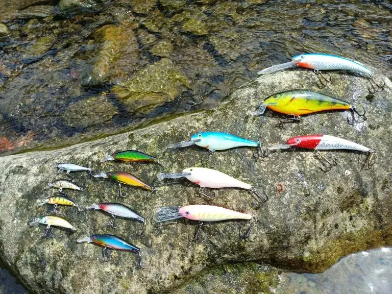 Przynęta - Jak wybrać najlepszą przynętę do wędkowania i złapać ryby