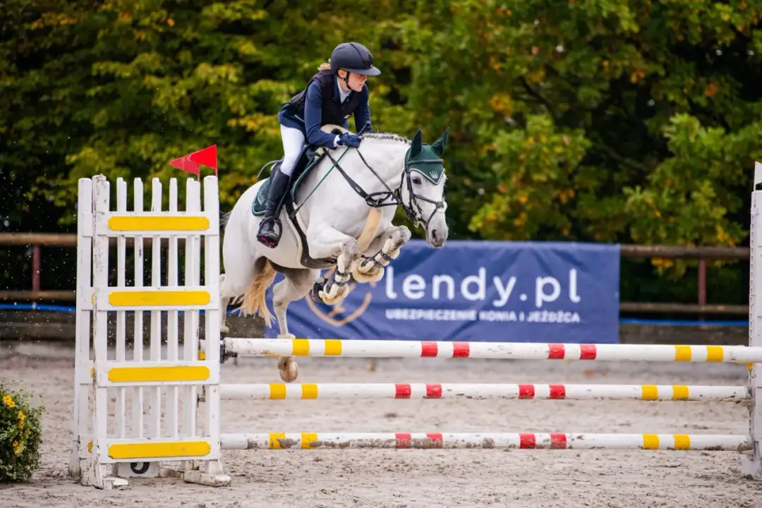 Ubezpieczenie NNW jeździectwo - uniknij wysokich kosztów wypadków