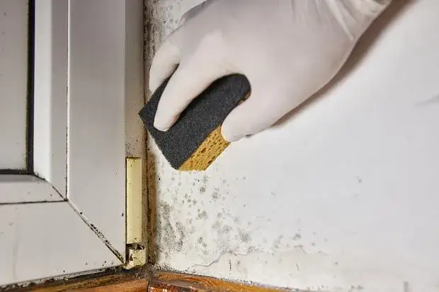 Skuteczne domowe sposoby na usunięcie pleśni ze ściany bez chemii