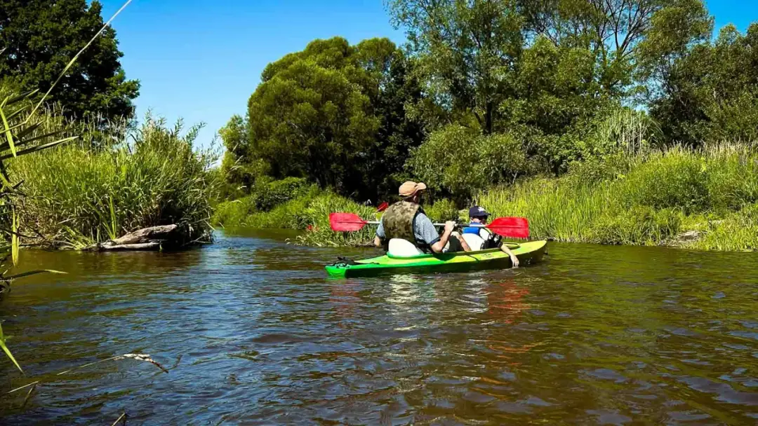 Spływy kajakowe Tanew – idealne trasy dla każdego poziomu umiejętności