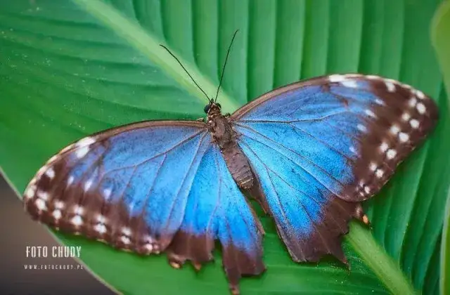 Najlepsze atrakcje w Karwi, które musisz zobaczyć na wakacjach