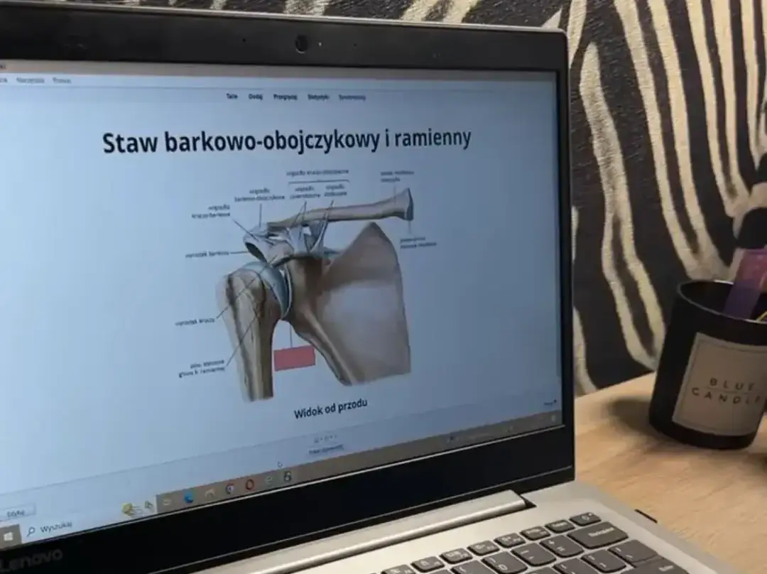 Jak uczyć się anatomii? Skuteczne metody i narzędzia dla studentów