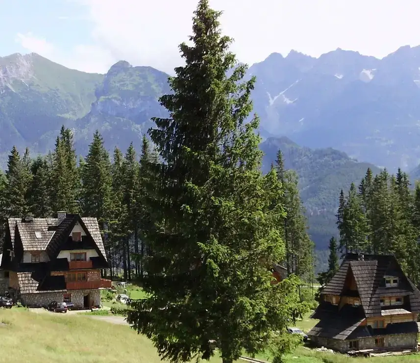 Bukowina Tatrzańska gdzie zjeść: najlepsze miejsca na góralskie smaki