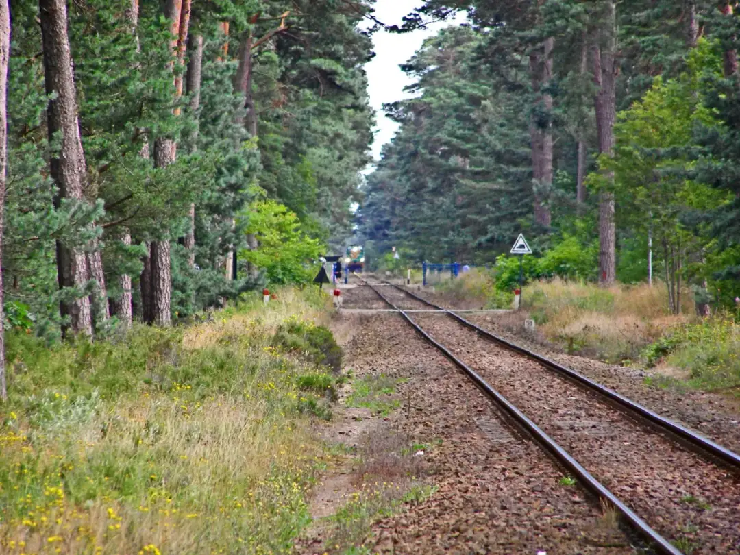 Jak dojechać do Władysławowa pociągiem: czas, połączenia, ceny i zakupy