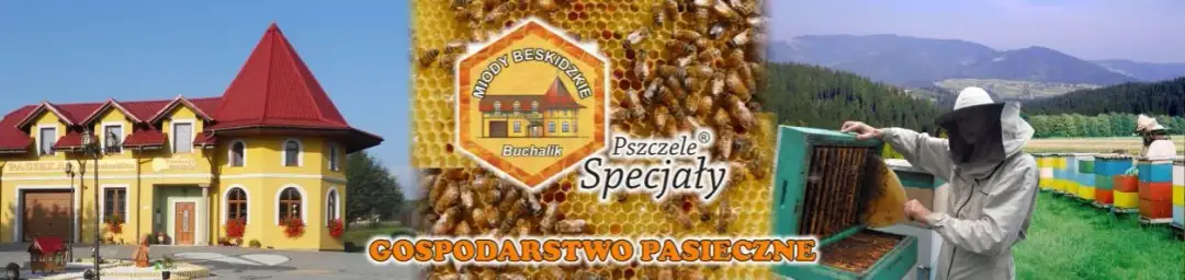 Ile kosztuje słoik miodu? Sprawdź ceny i różnice regionalne