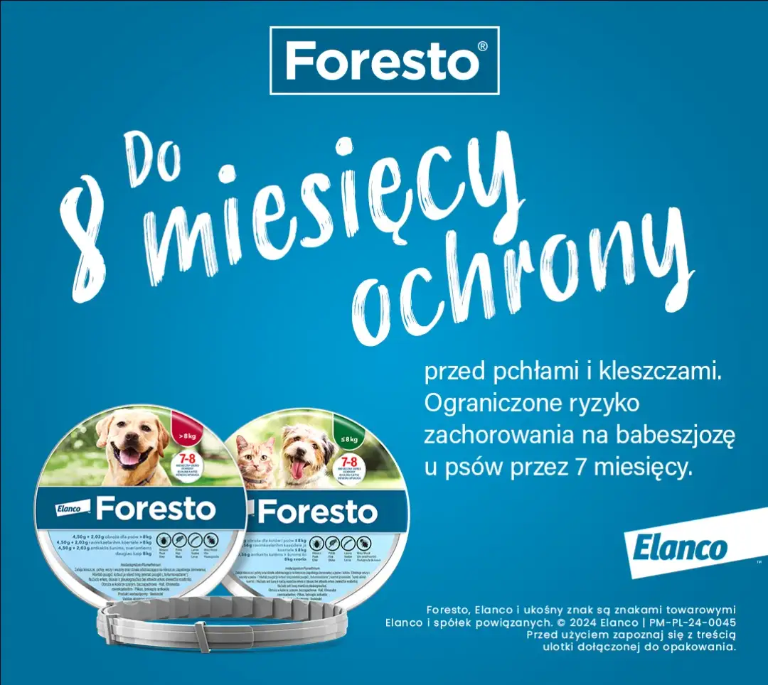 Obroża Foresto kiedy zdjąć - ważne informacje o czasie noszenia