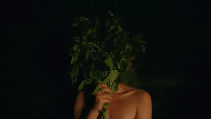 Recenzja Siostrzeństwo Świętej Sauny, jak wypada nowy film z 2023 roku?