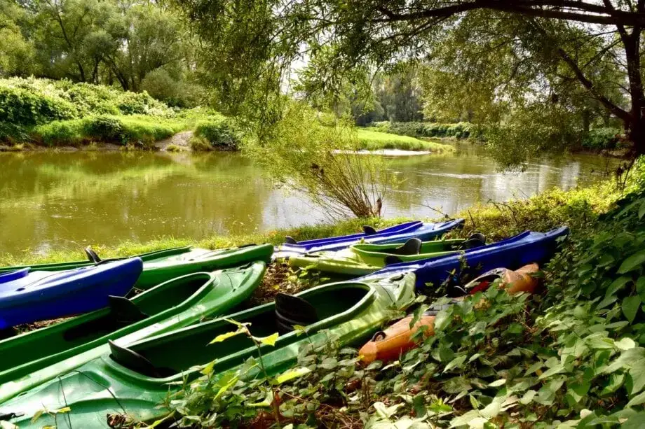 Ile kosztuje spływ kajakowy? Ceny, koszty i planowanie budżetu