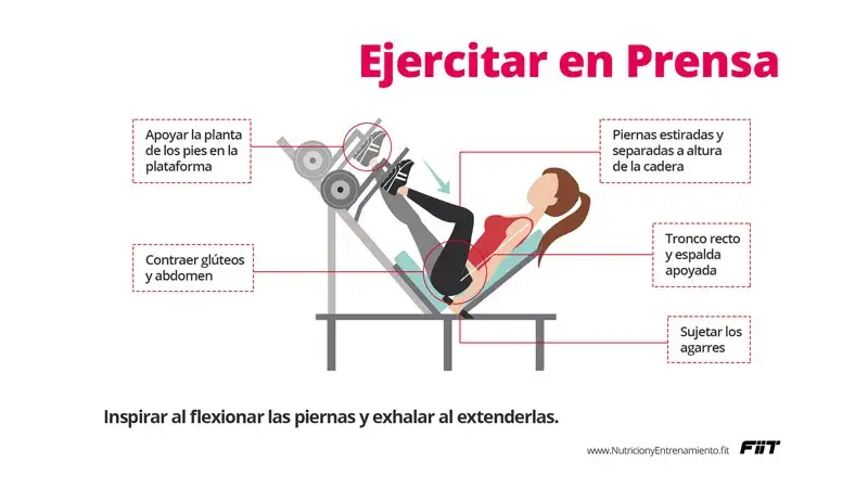 Todo lo que necesitas saber sobre la prensa gimnasio y sus beneficios