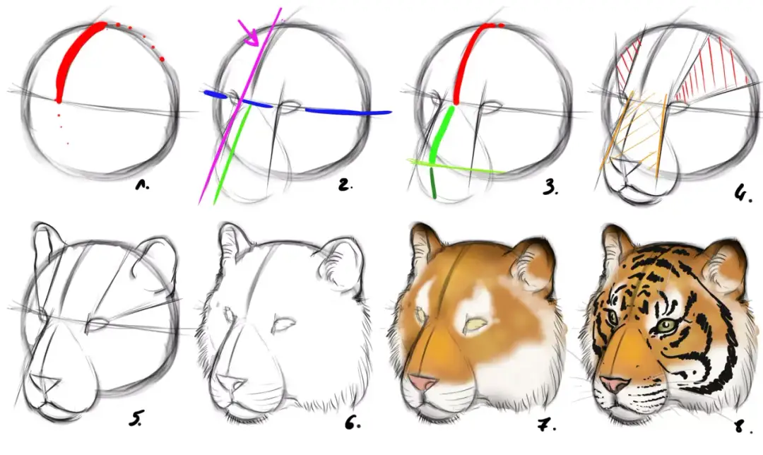 Einfach Tiger zeichnen: Schritt-für-Schritt-Anleitung für Anfänger