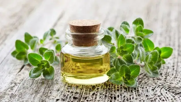 Jak stosować olejek z oregano dla dzieci bezpiecznie i skutecznie