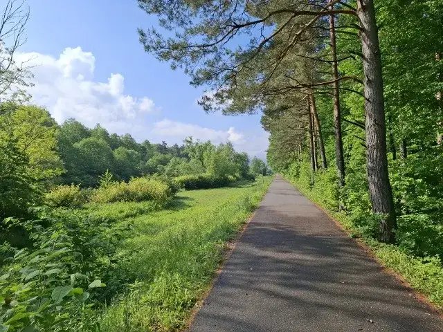 Trasa rowerowa Skoczów Wisła - piękne widoki i trudności na szlaku