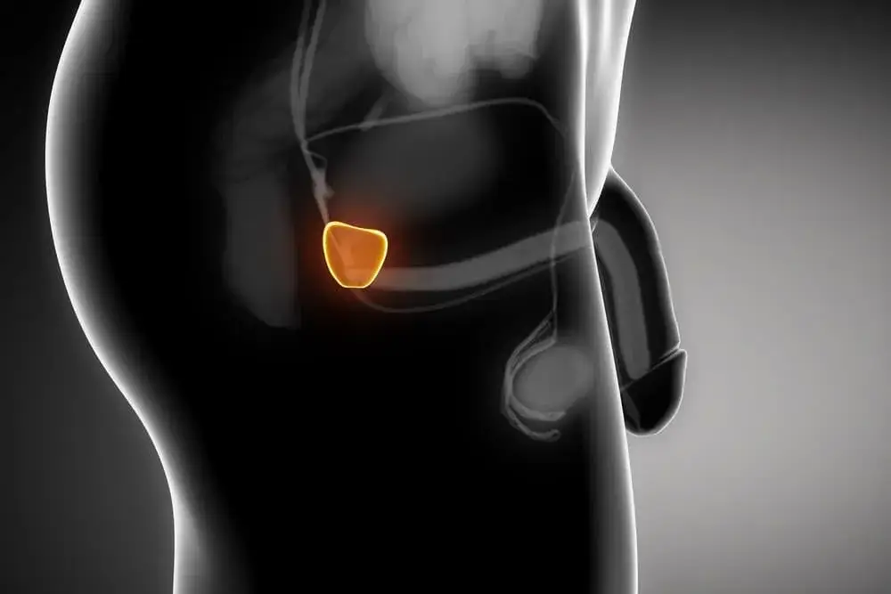 Gdzie mężczyzna ma punkt G? Jak go znaleźć i pobudzić u partnera