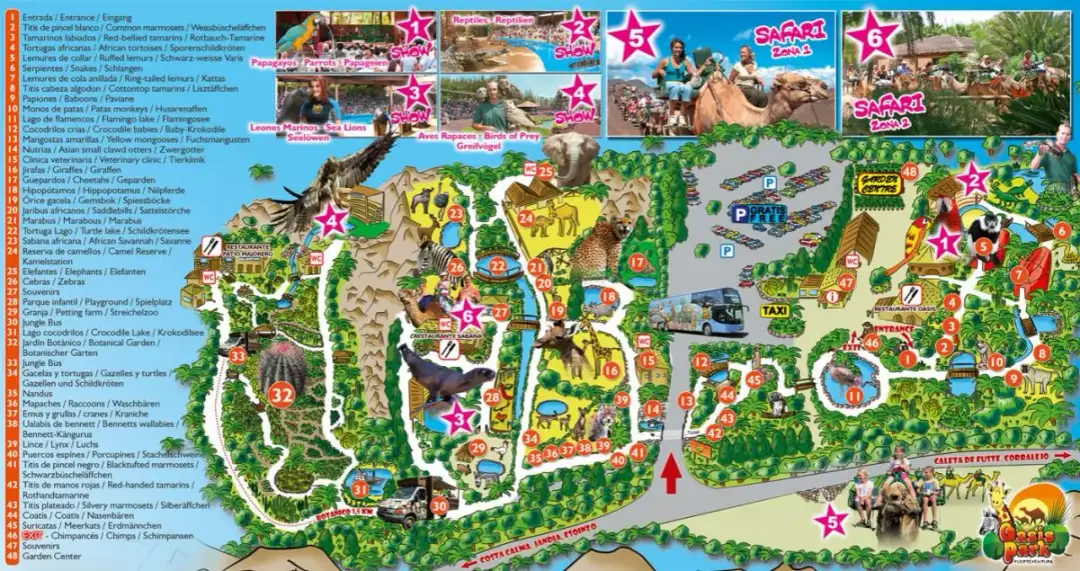 Fuerteventura mapa atrakcji: odkryj najważniejsze miejsca na wyspie