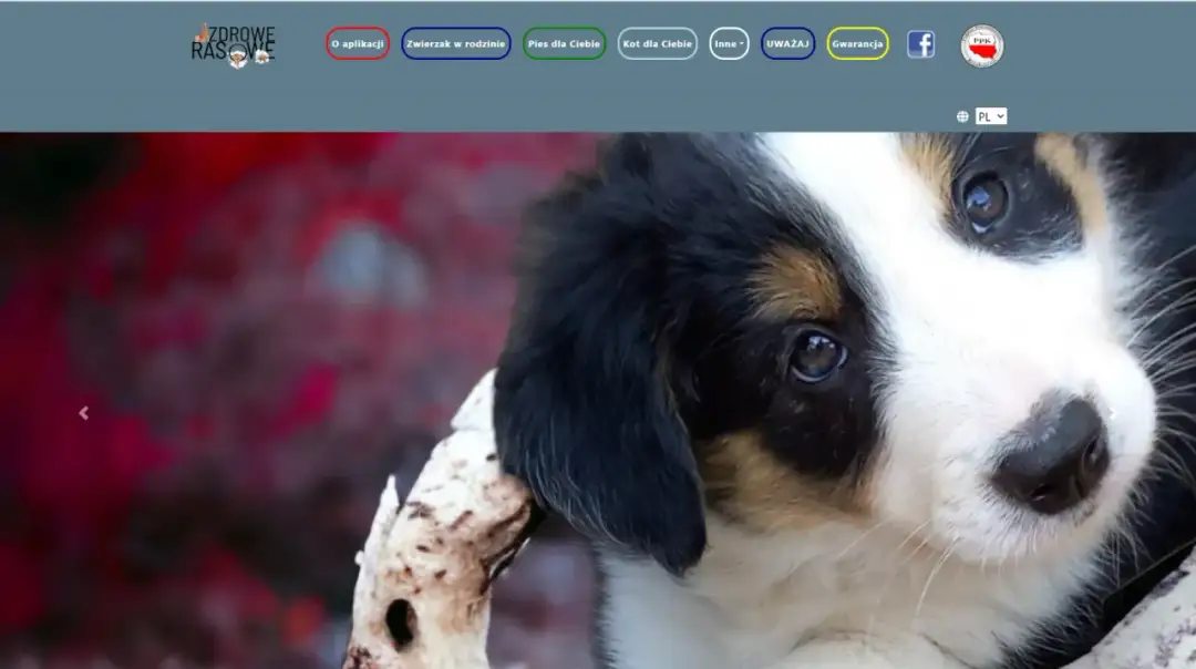 Jak sprawdzić czy hodowla jest legalna i uniknąć oszustwa