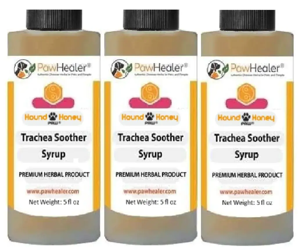 Najlepszy syrop na kaszel dla psa - ulga w kaszlu i zdrowie pupila