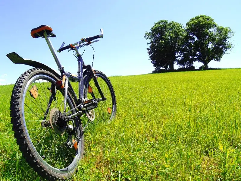 Jakie 5 tras w Pieninach rowerem oczarują Cię najbardziej? Porady