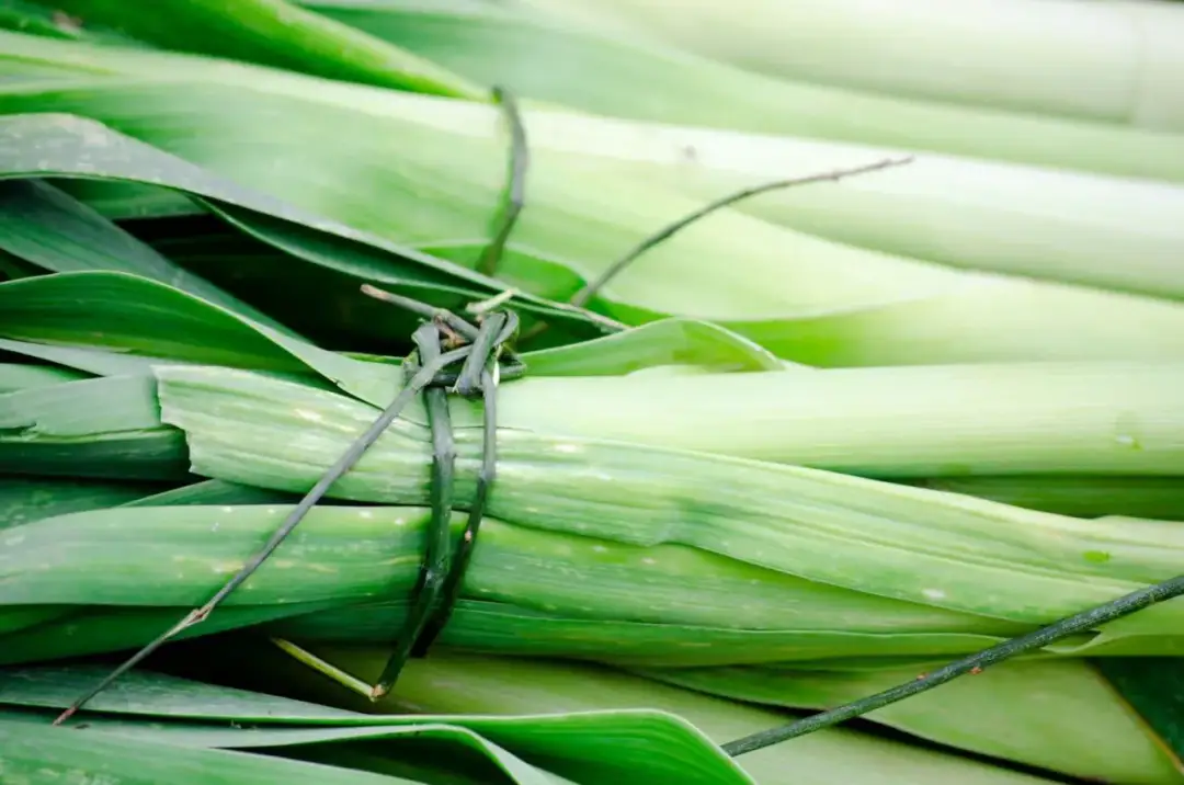 Ile kalorii ma por? Zaskakujące fakty o wartości odżywczej pora
