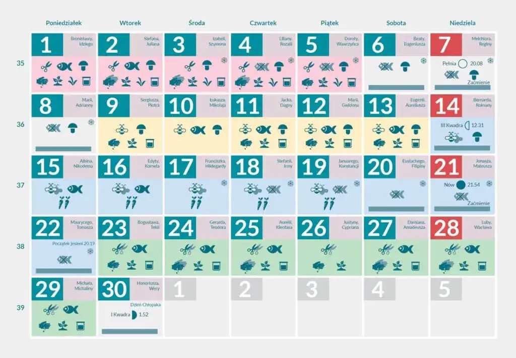 Kalendarz przesadzania roślin: Kiedy i jak to zrobić najlepiej?