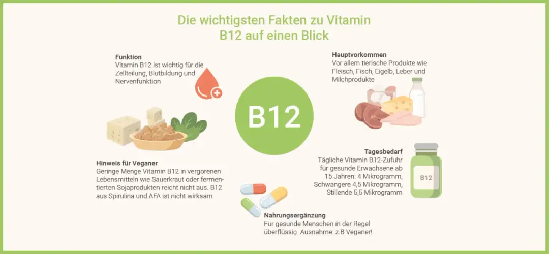 Ratiopharm Vitamin B12: Vorteile, Dosierung und wichtige Hinweise