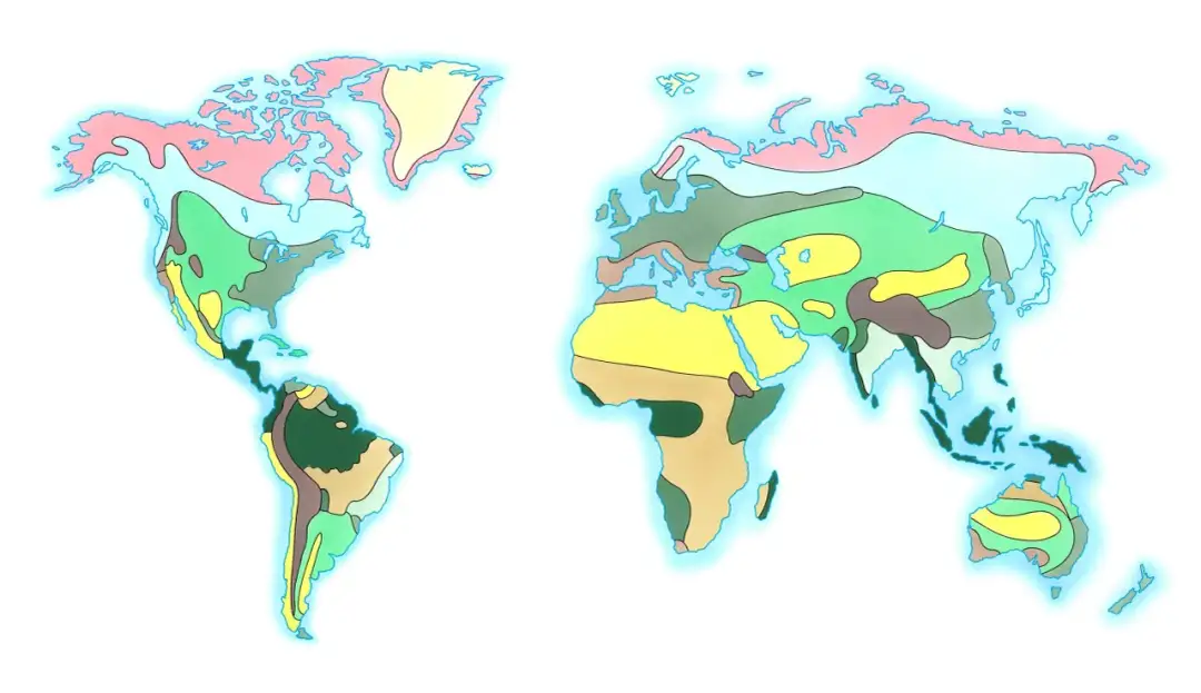 Jaki jest klimat w Afryce? Odkryj niezwykłe różnice i zjawiska