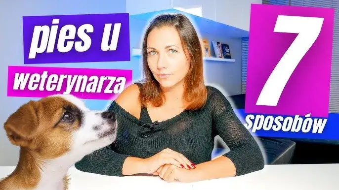 Jak zwracać się do weterynarza, by uniknąć niezręcznych sytuacji?