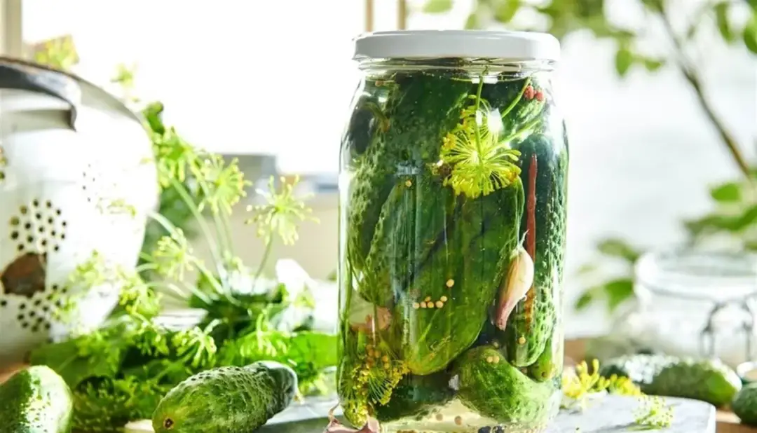 Jak wkładać ogórki do kiszenia, aby uniknąć najczęstszych błędów