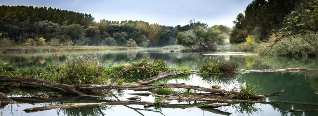 Spływ kajakowy Sulejów: najlepsze trasy, ceny i bezpieczeństwo