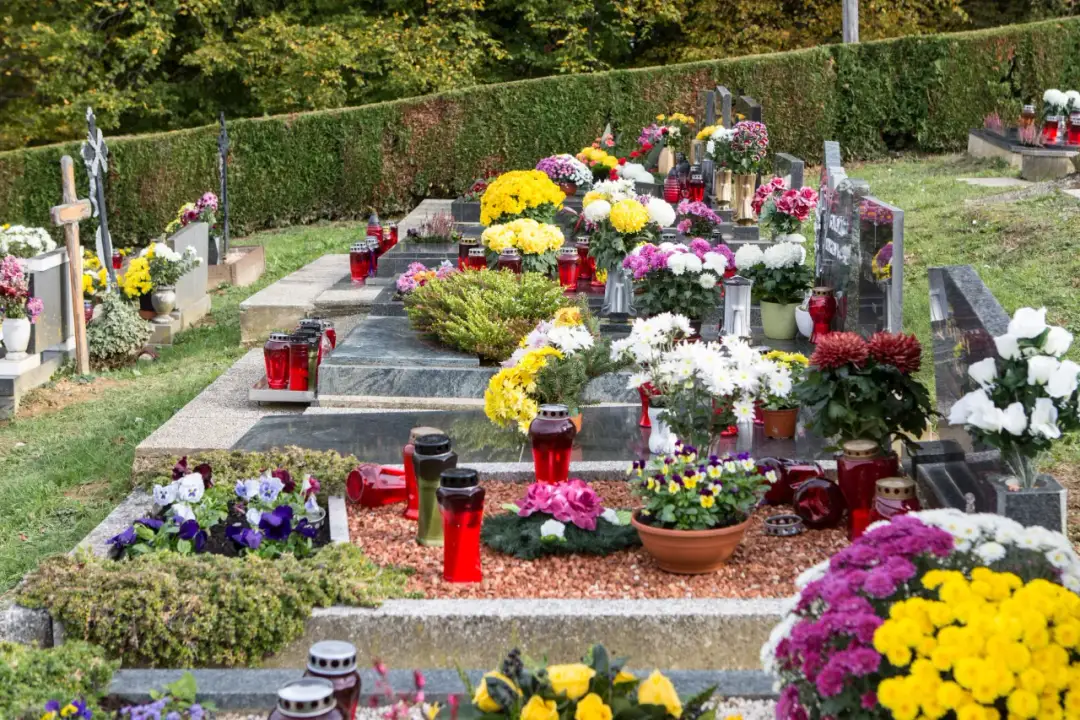 Jakie kwiaty na cmentarz na Wielkanoc - piękne wybory na święto