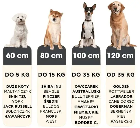 Jaki rozmiar legowiska dla psa? Wybierz idealne dla swojego pupila