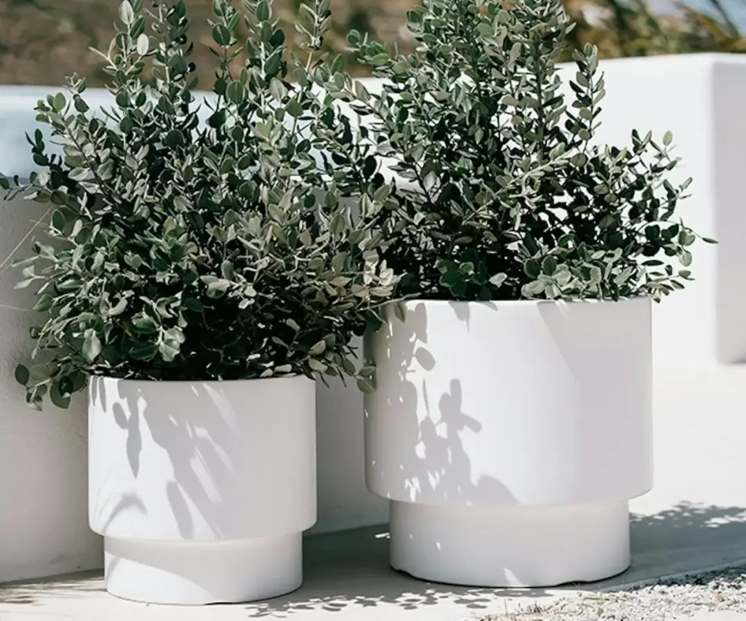 Jakie kwiaty na balkon? Odkryj najlepsze rośliny na każdą porę dnia