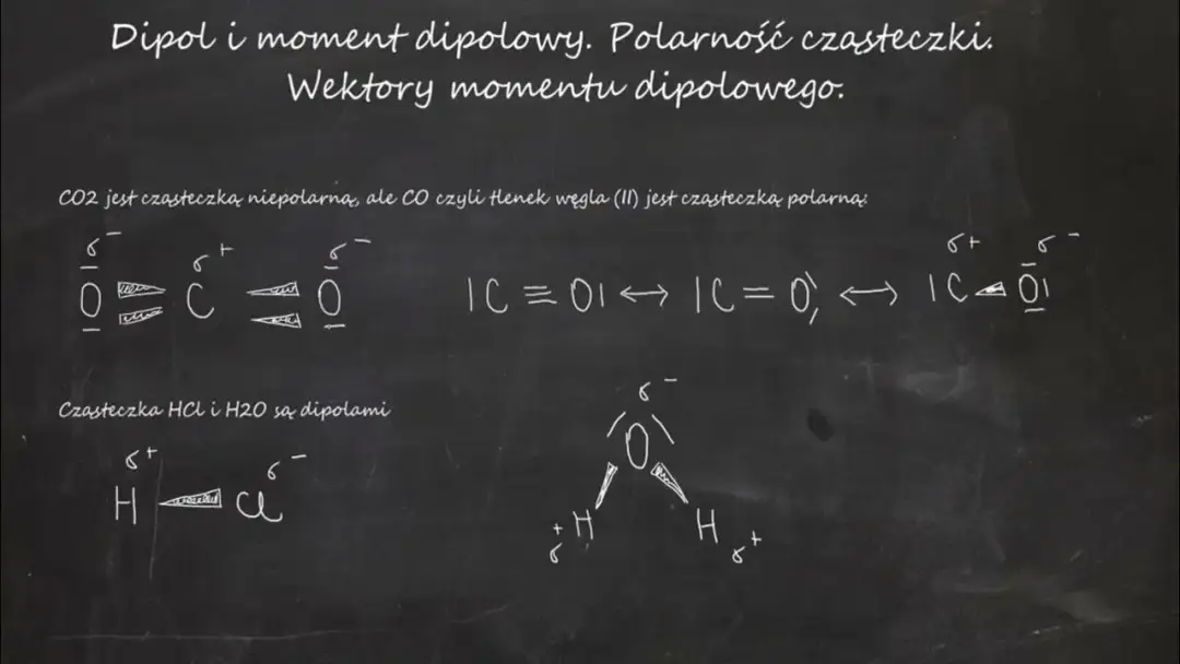 Co to jest wektor w biologii? Klucz do inżynierii genetycznej