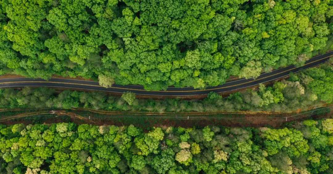 Kaszuby rowerem? Oto aż 7 tras o widokach, które zapierają dech