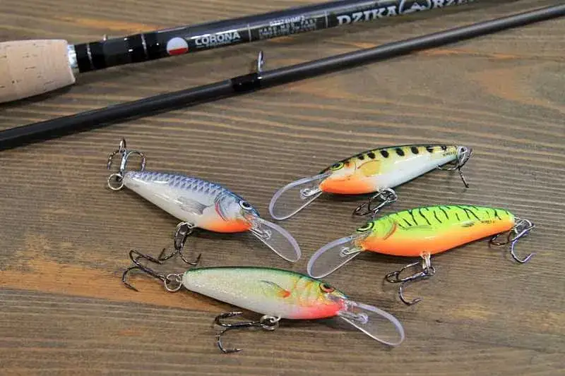 Najskuteczniejsze przynęty na brzany, które naprawdę działają w wędkarstwie