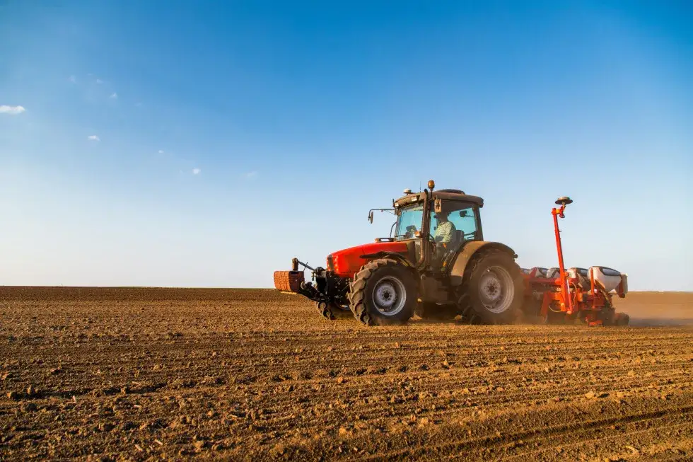 Gdzie najtańsza ziemia ogrodowa? Sprawdź najlepsze oferty w 2025 roku.