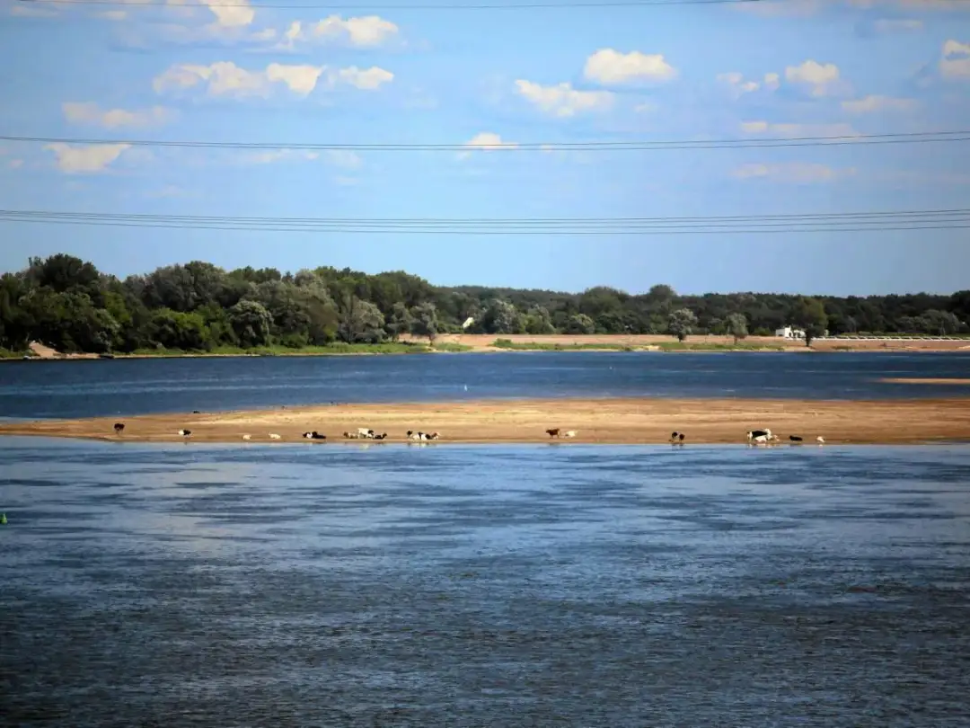 Dopływy Wisły: Które rzeki tworzą jej potęgę?