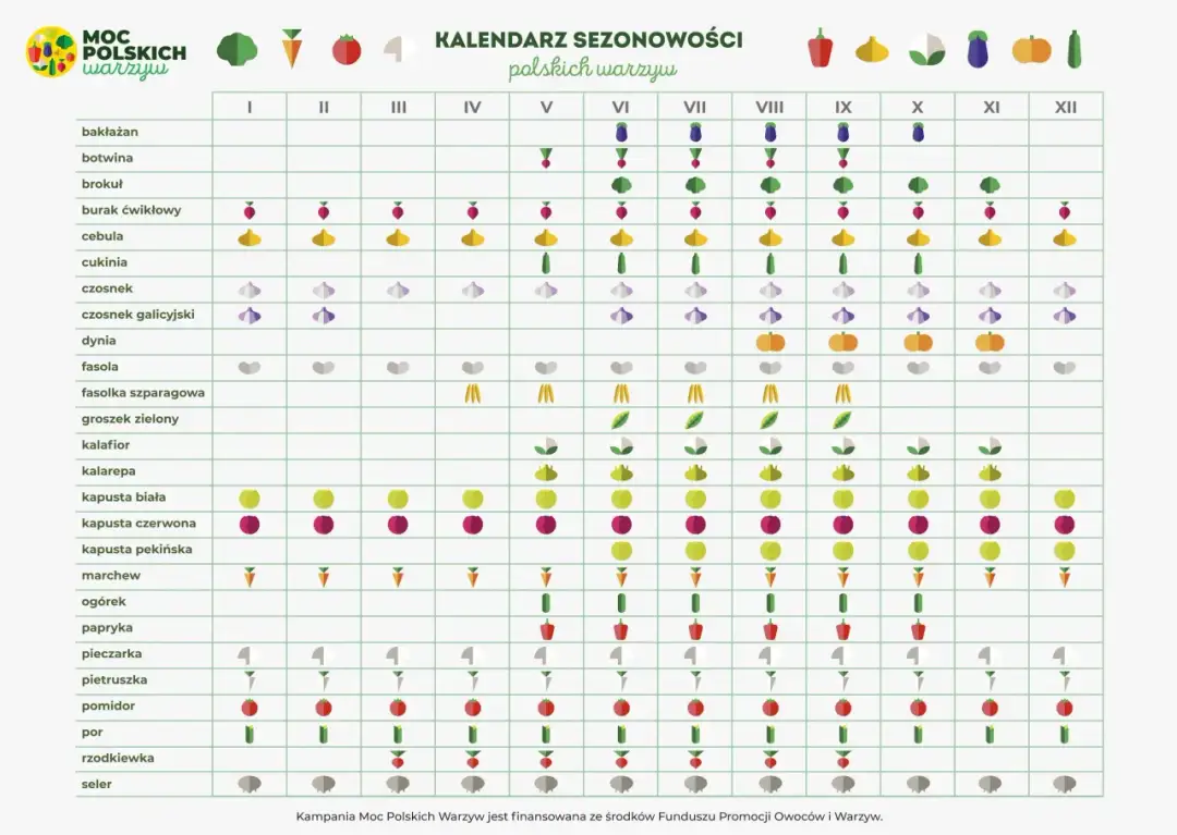 Kalendarz promocji: Kiedy kupować, by oszczędzać? Sprawdź!