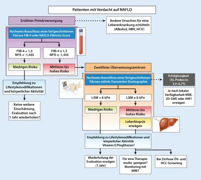 Leberzirrhose Diagnostik: Wichtige Tests und Verfahren zur Früherkennung