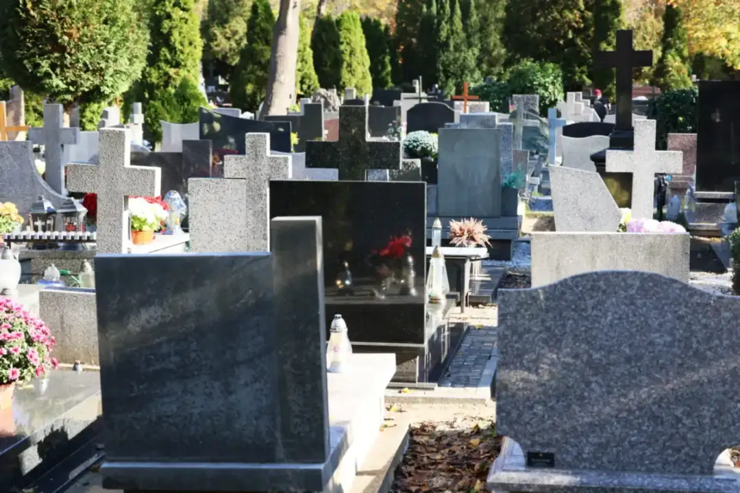 Jak dojechać na Cmentarz Północny - uniknij problemów z dojazdem