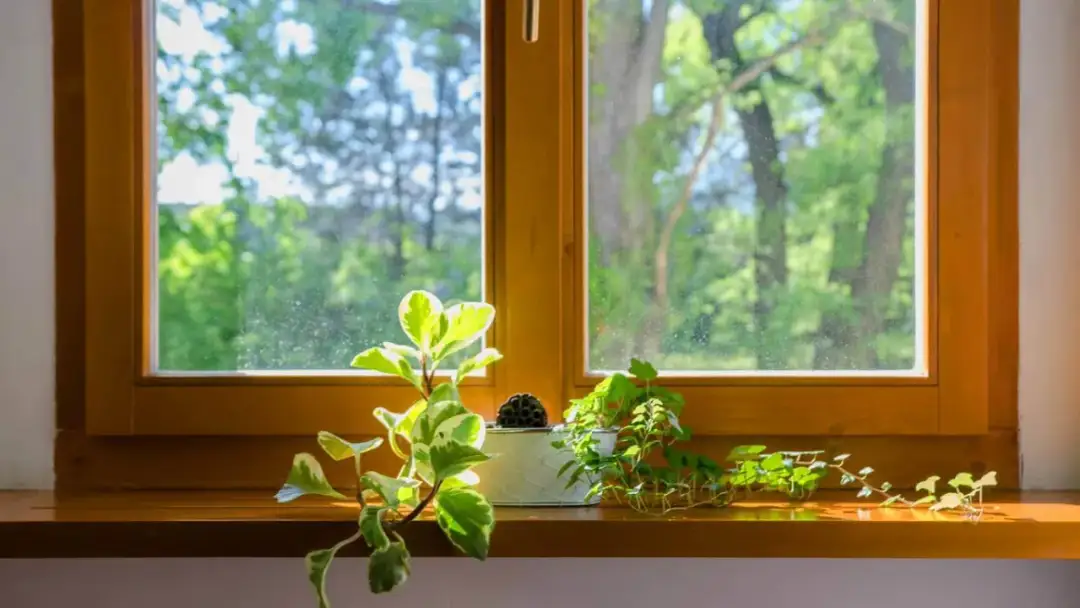 Sokółka okna drewniane - porównanie najważniejszych parametrów technicznych