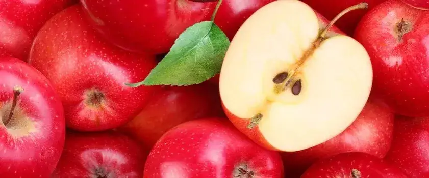 Czy jabłka są tuczące? Odkryj prawdę o ich kaloryczności