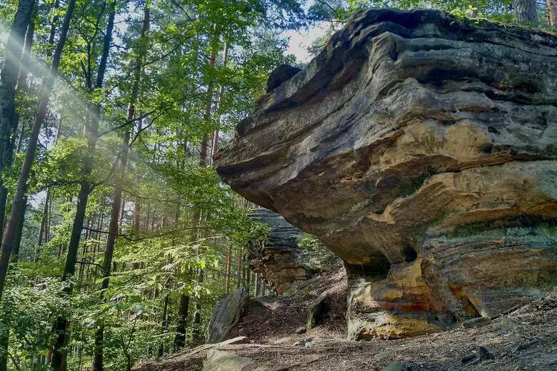 Najpiękniejsze rezerwaty przyrody w Polsce przykłady i ich wyjątkowe walory