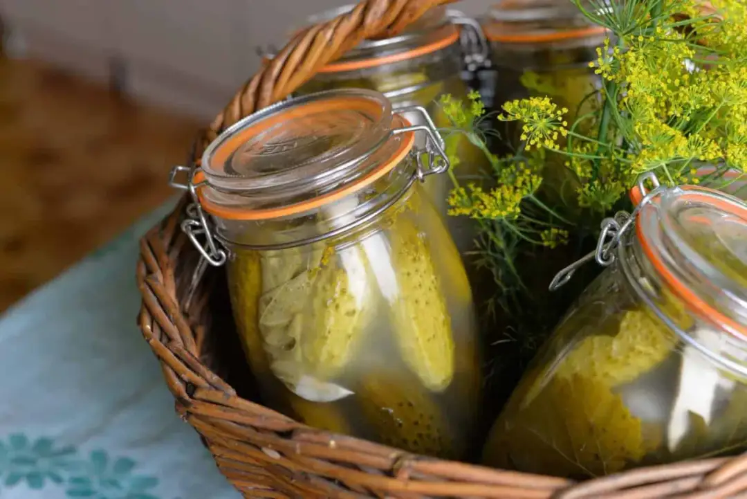 Czy ogórki kiszone tuczą? Odkryj ich wpływ na odchudzanie